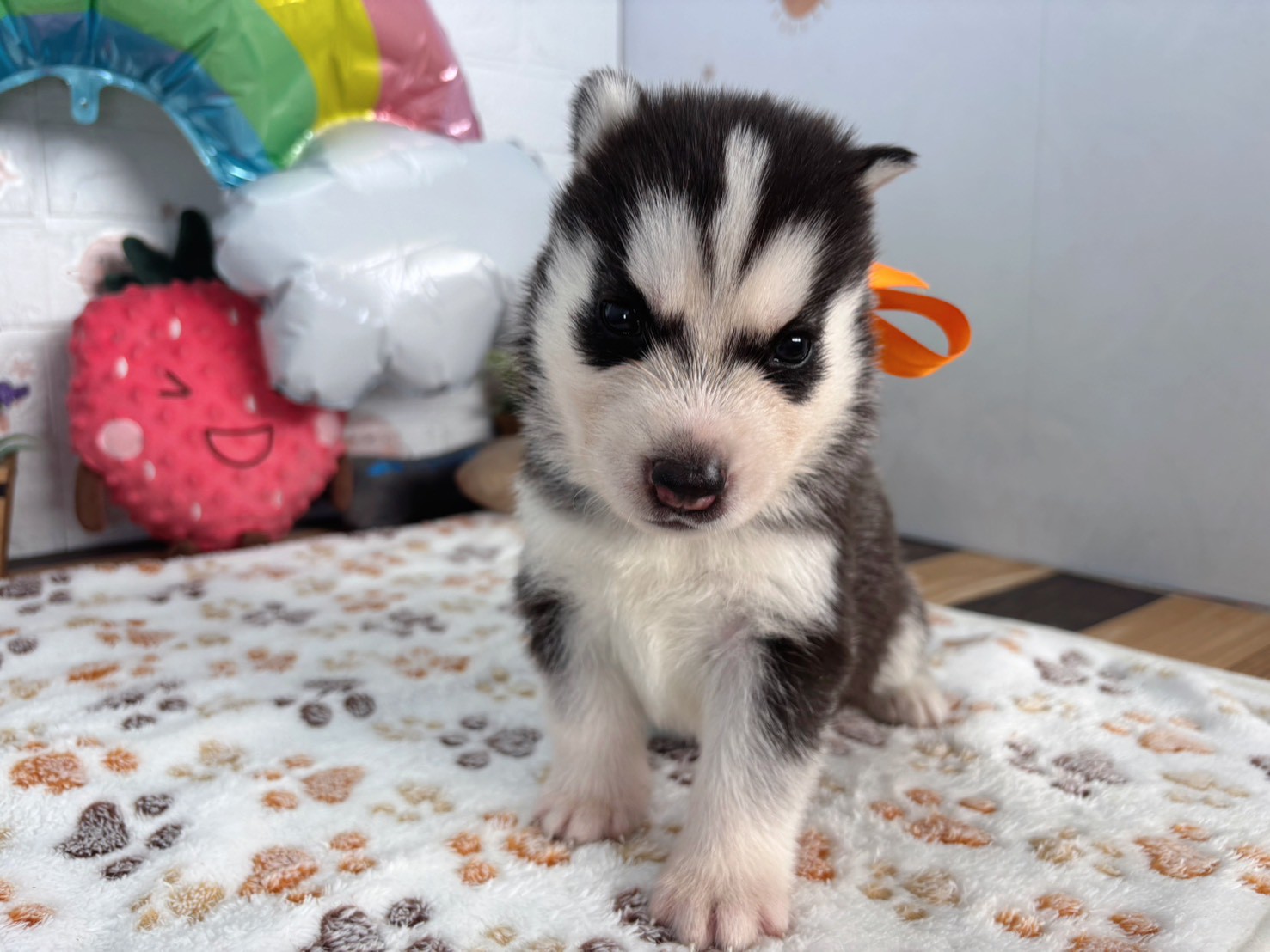 赤ちゃん写真2-1