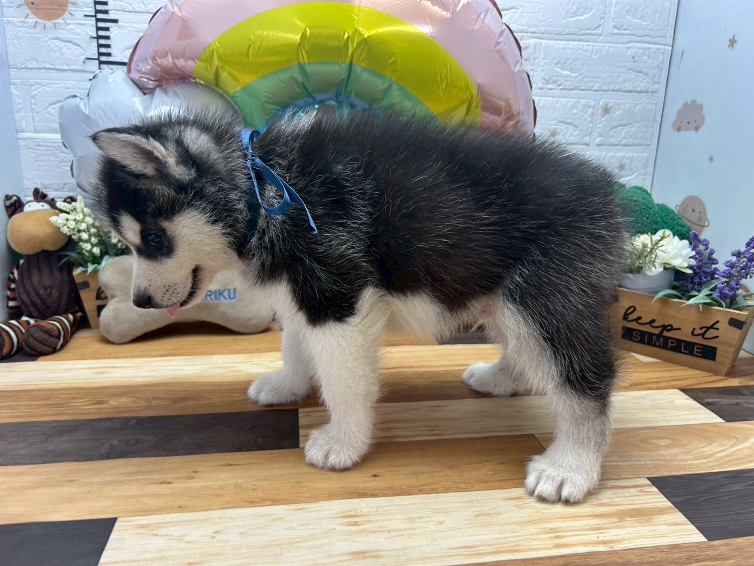 赤ちゃん写真3-2