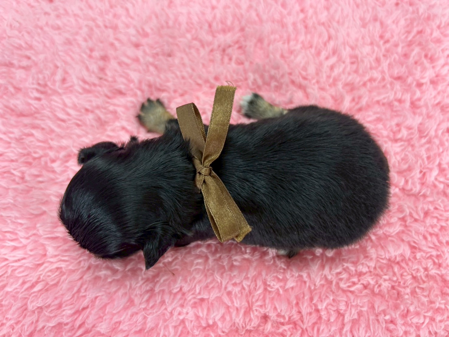 赤ちゃん写真2-3