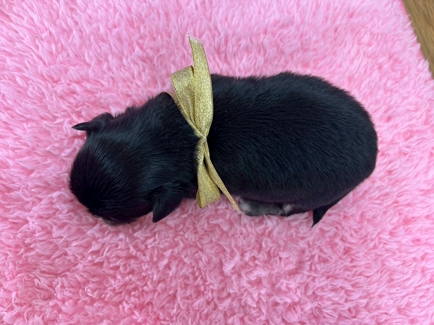 赤ちゃん写真2-3