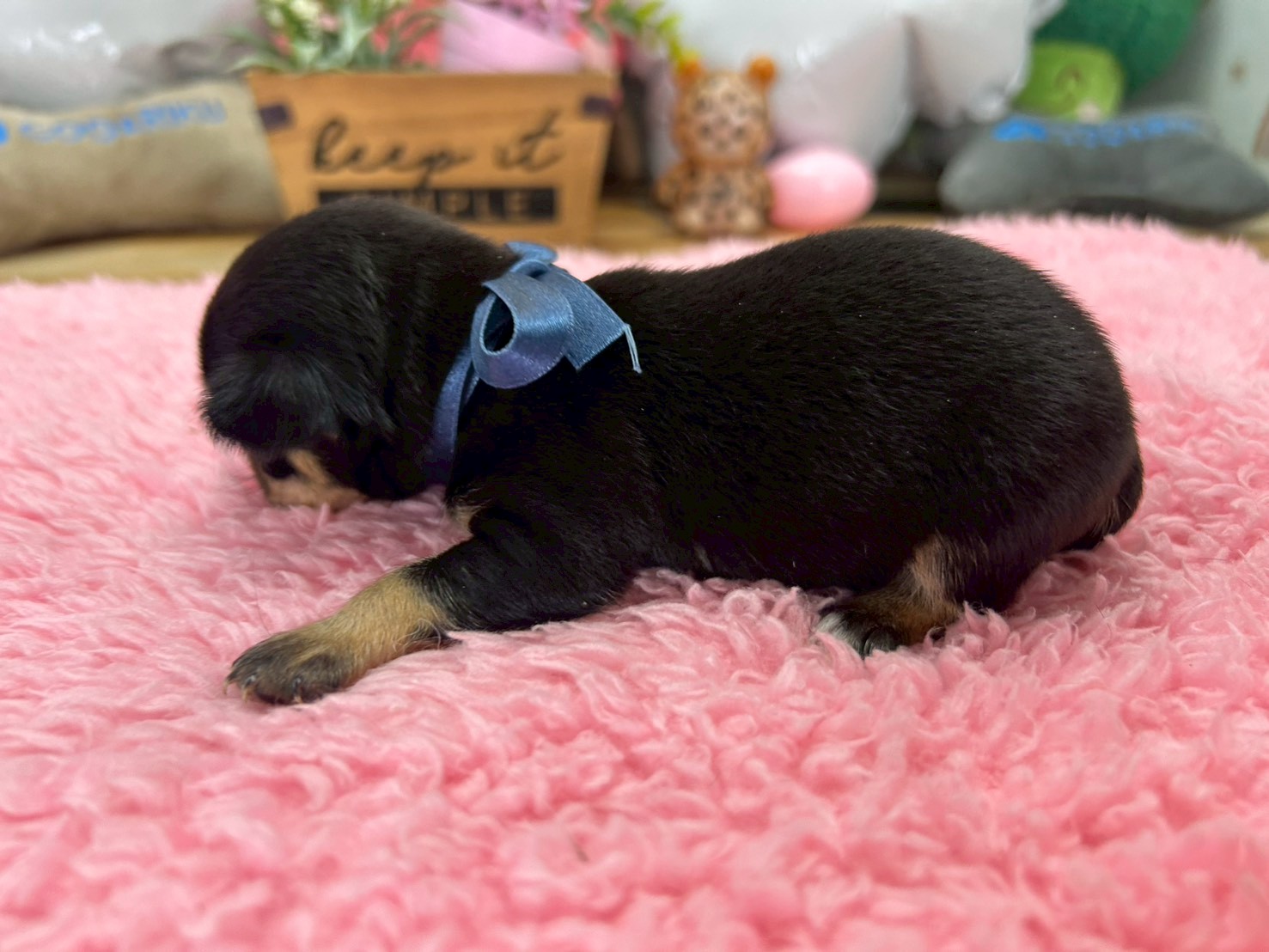 赤ちゃん写真2-2