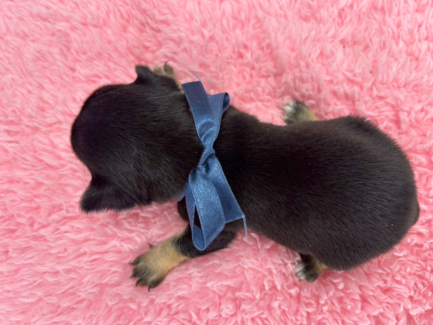 赤ちゃん写真2-3