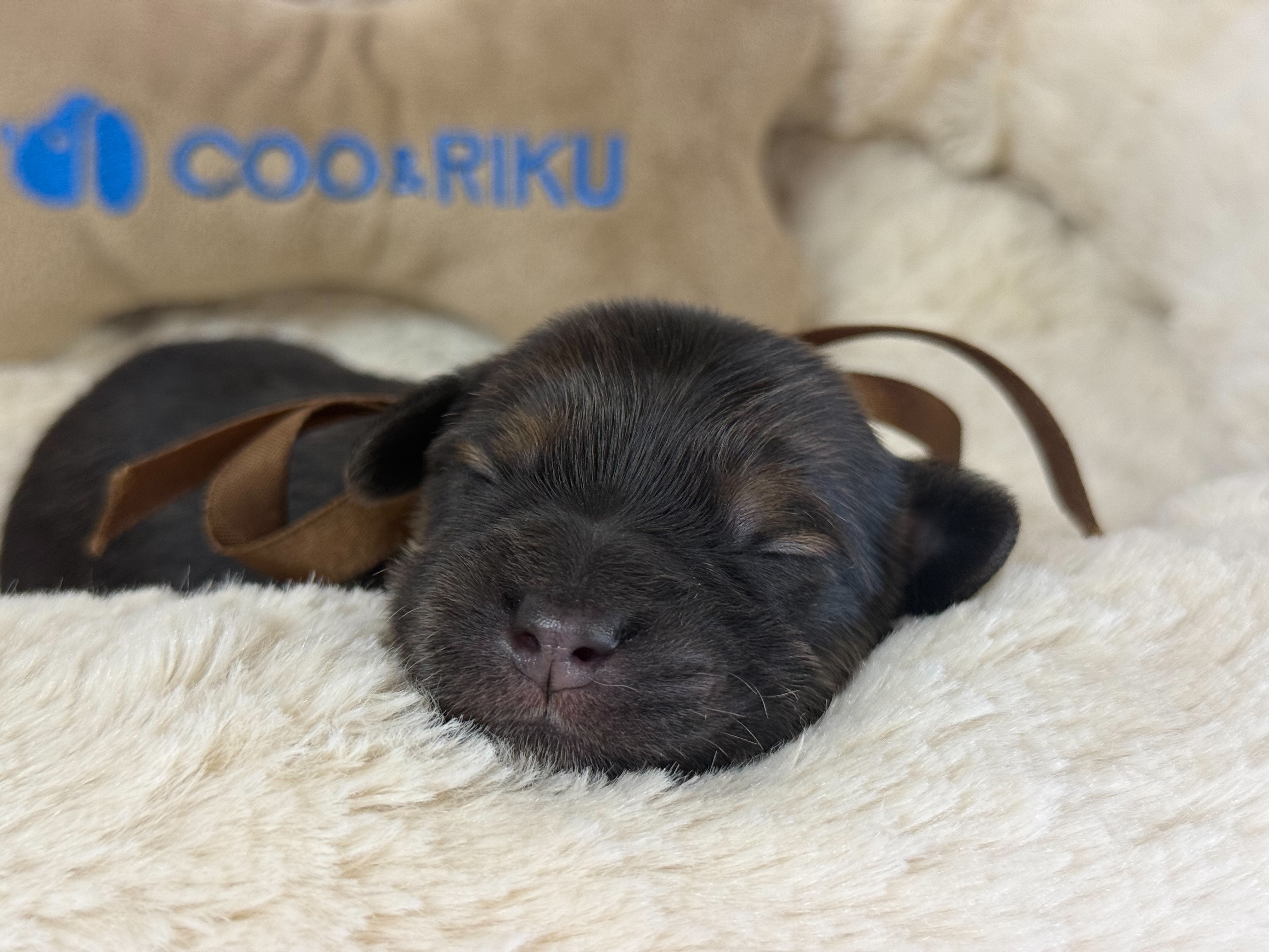 赤ちゃん写真1-1