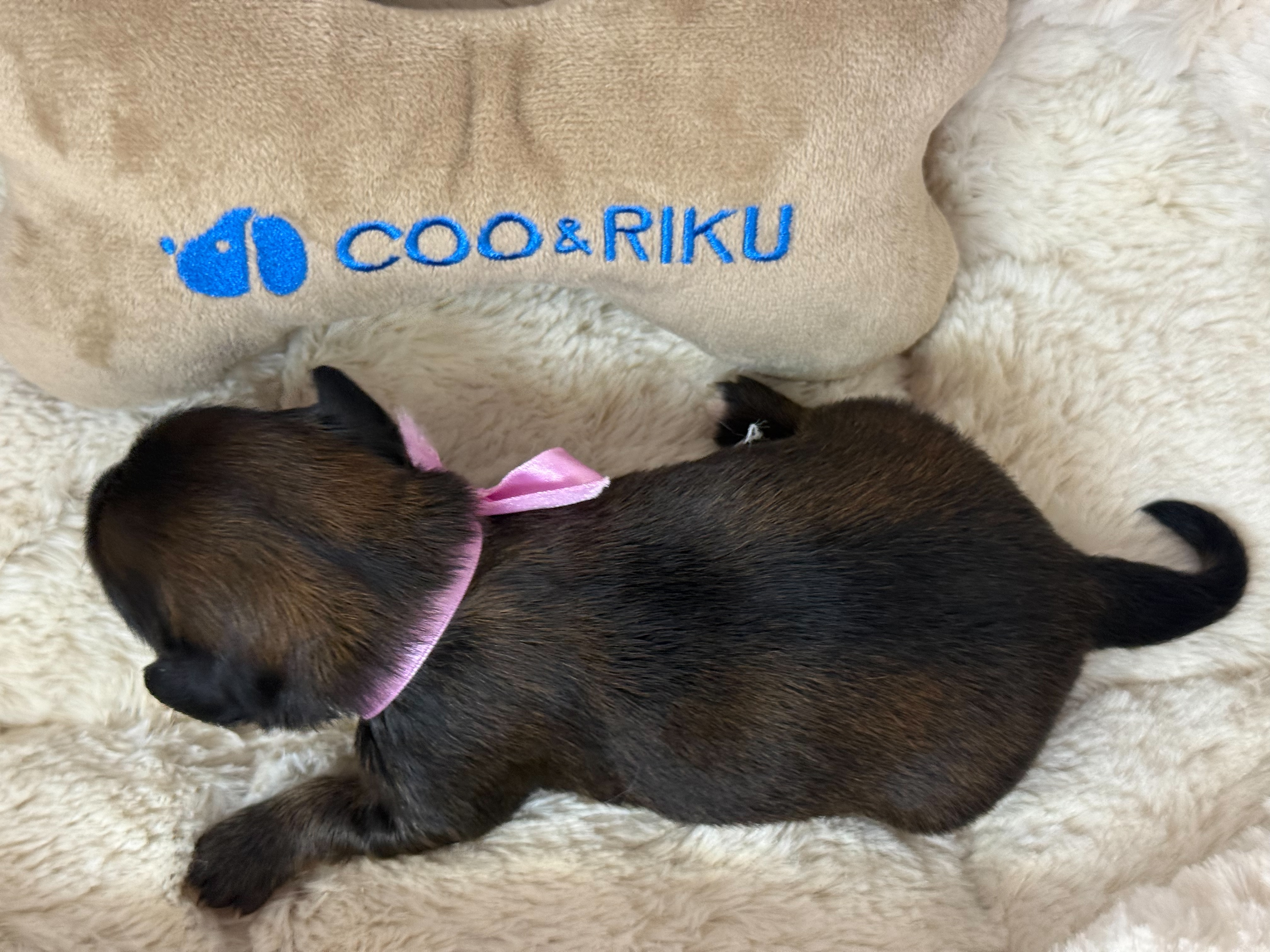 赤ちゃん写真1-3