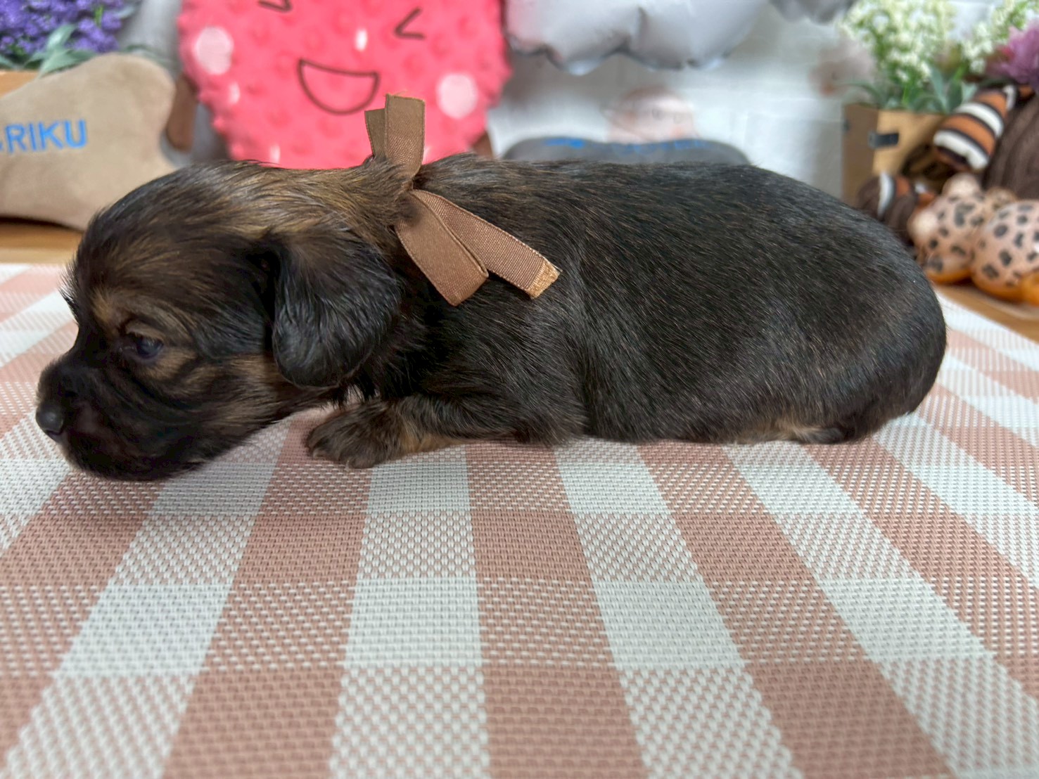 赤ちゃん写真2-2
