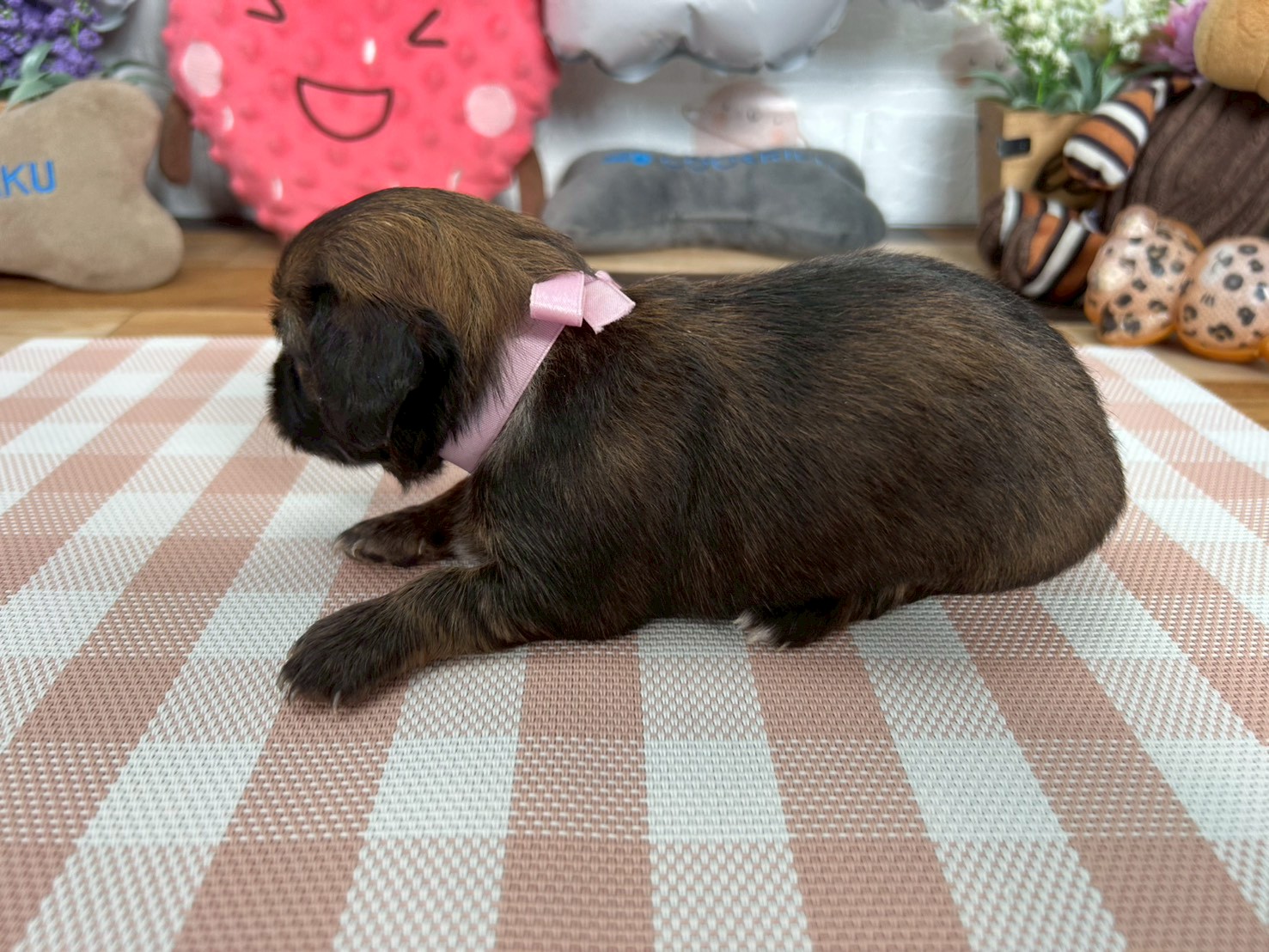 赤ちゃん写真2-2