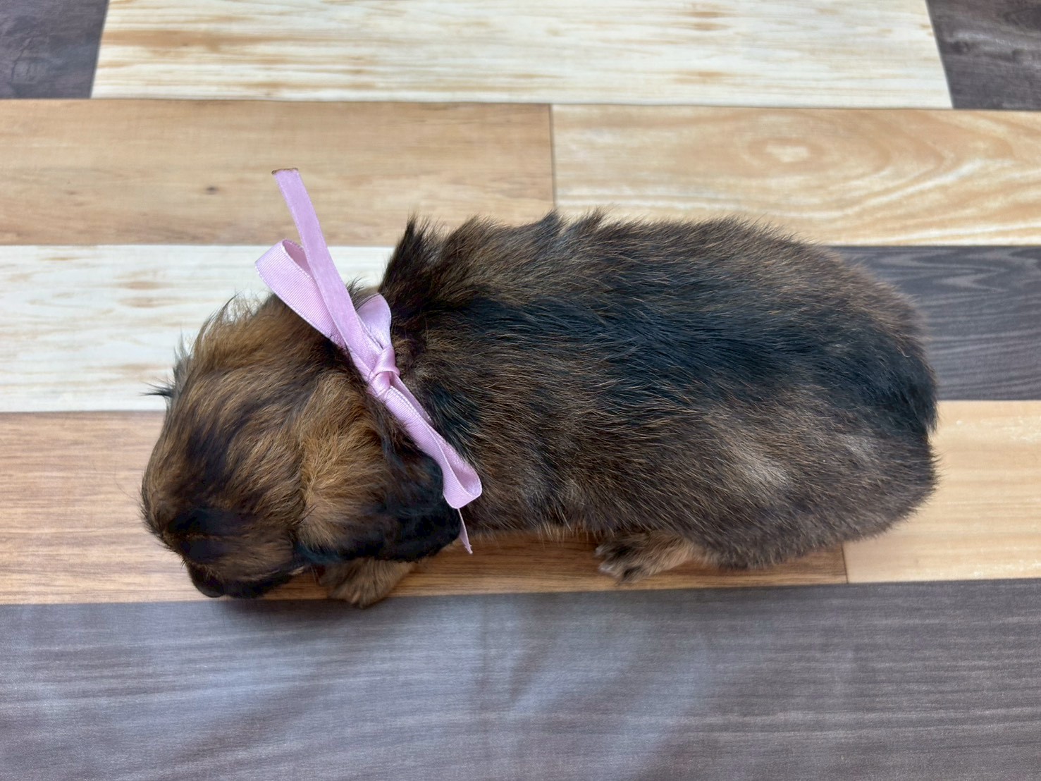 赤ちゃん写真3-3