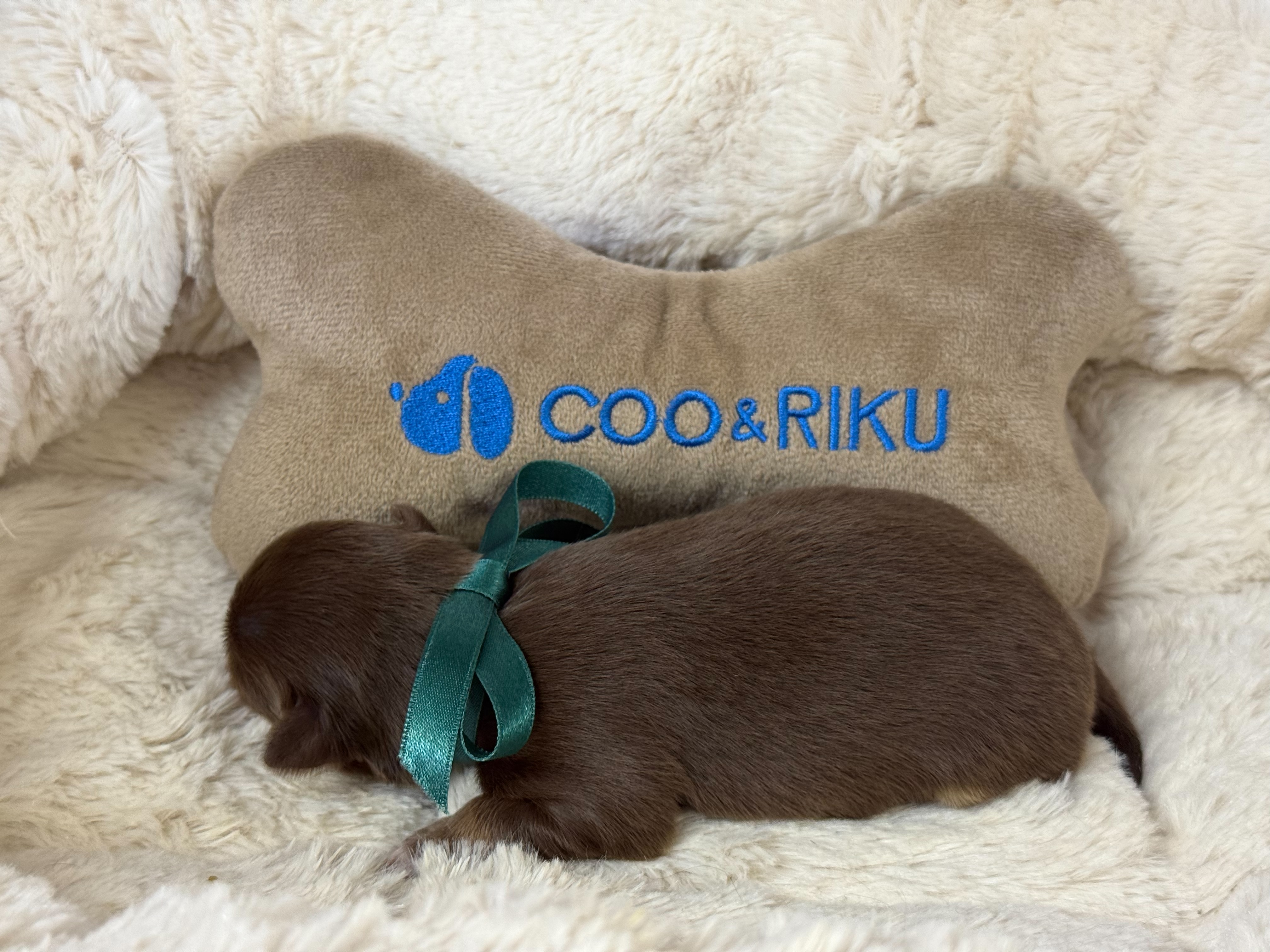 赤ちゃん写真1-2
