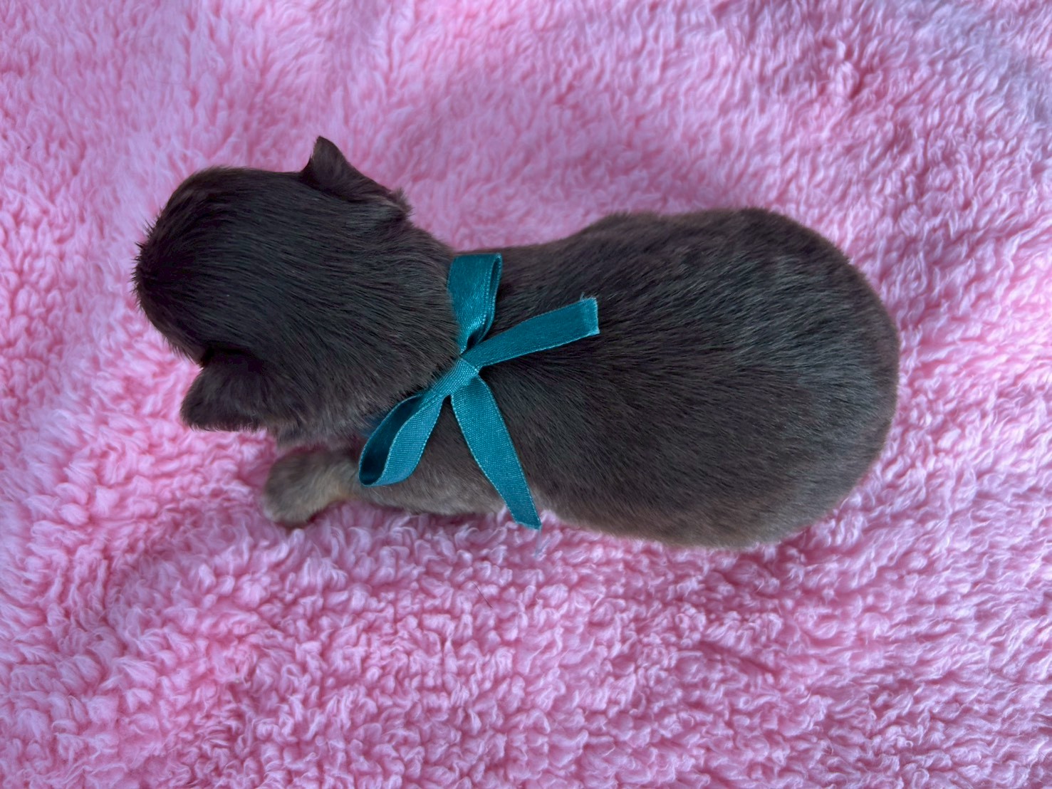 赤ちゃん写真2-3