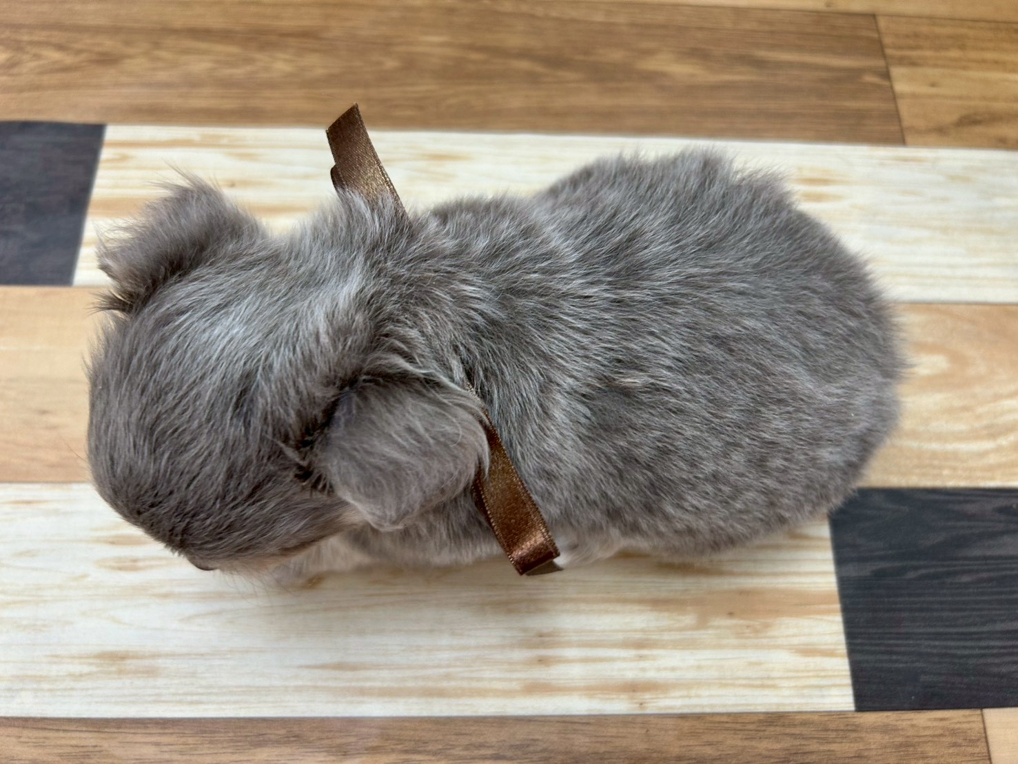 赤ちゃん写真3-3