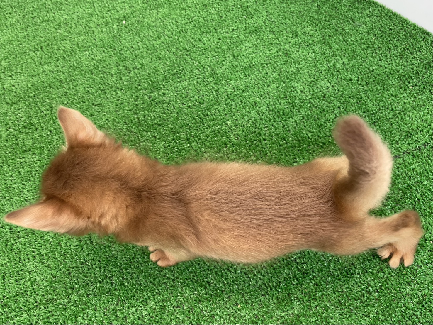 赤ちゃん写真2-3