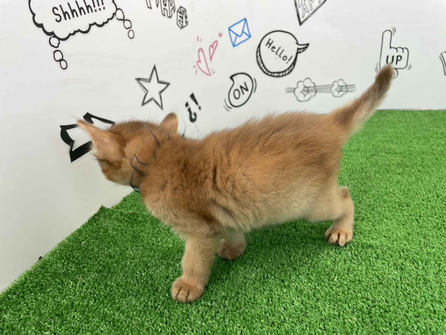 赤ちゃん写真2-2