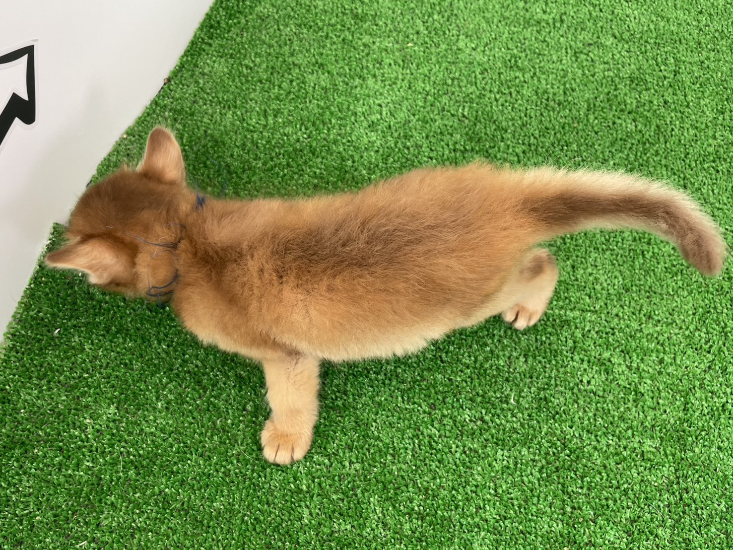 赤ちゃん写真2-3