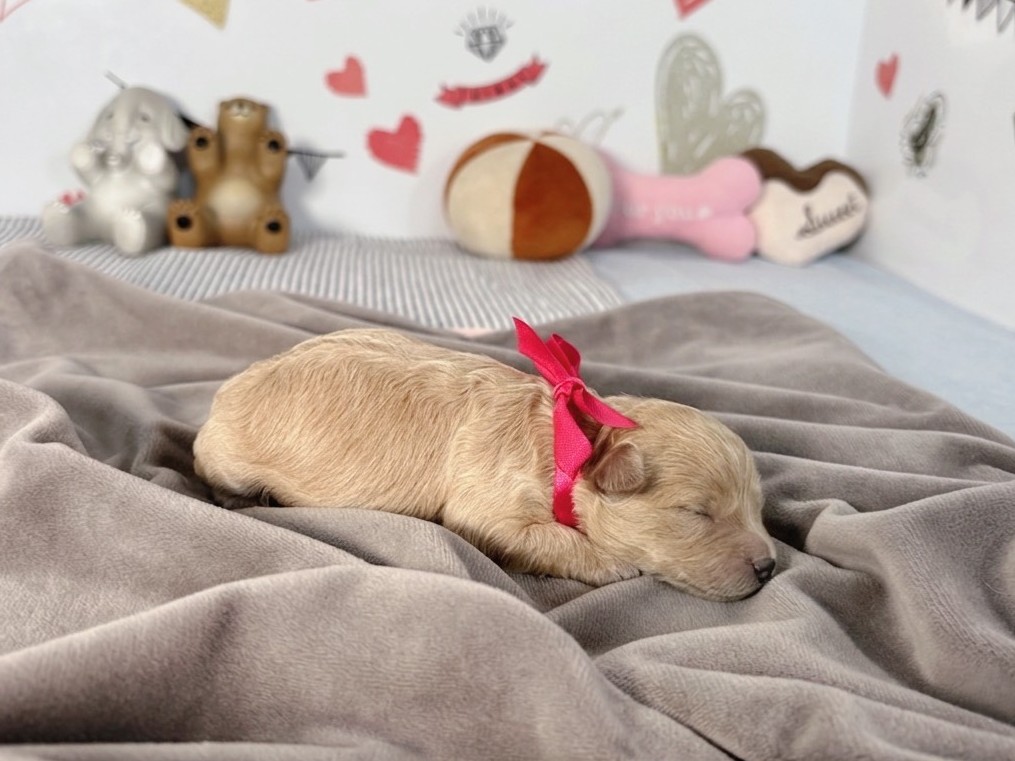 赤ちゃん写真1-2
