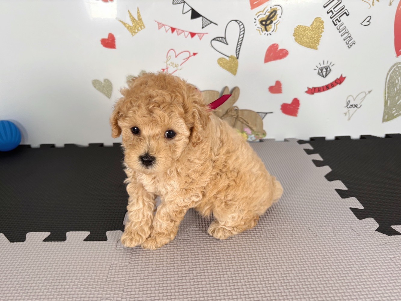 赤ちゃん写真2-2