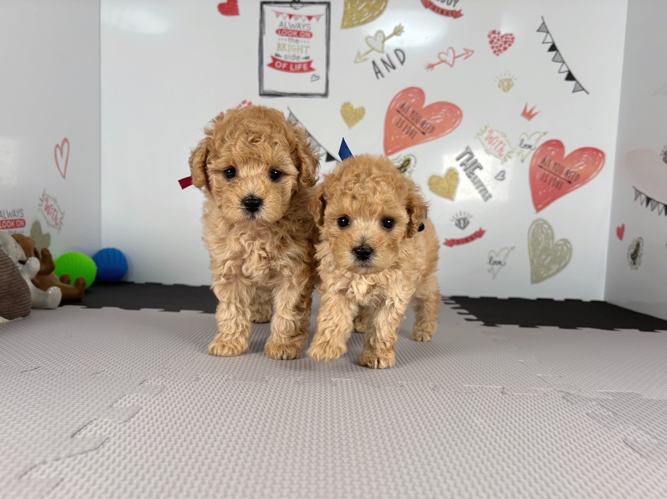 赤ちゃん写真2-3