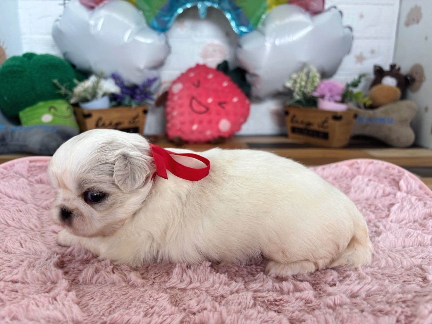 赤ちゃん写真2-2