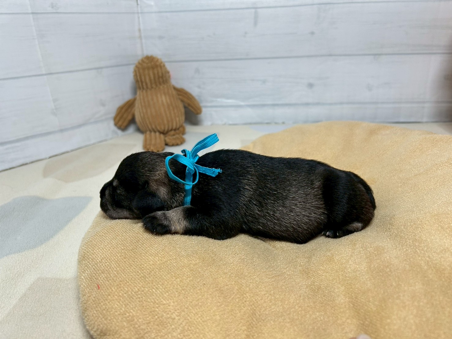 赤ちゃん写真1-2