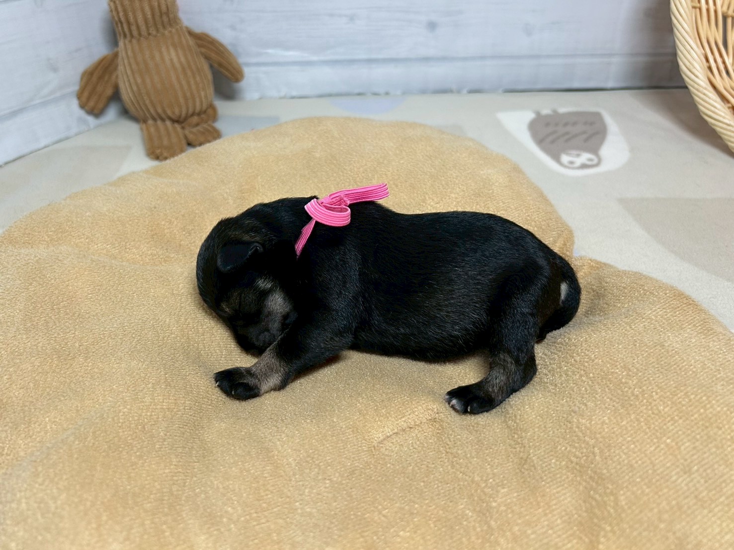 赤ちゃん写真1-2