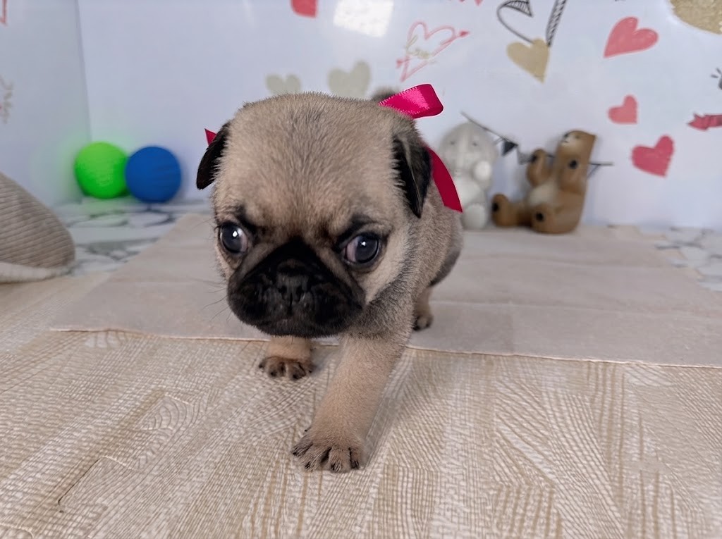 赤ちゃん写真2-1
