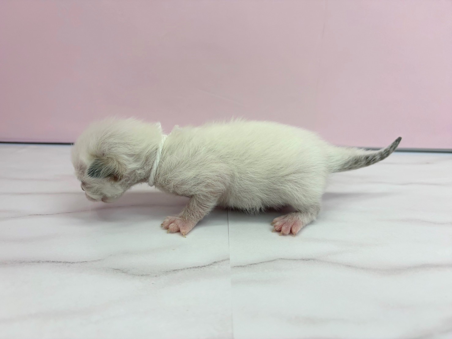 赤ちゃん写真1-2