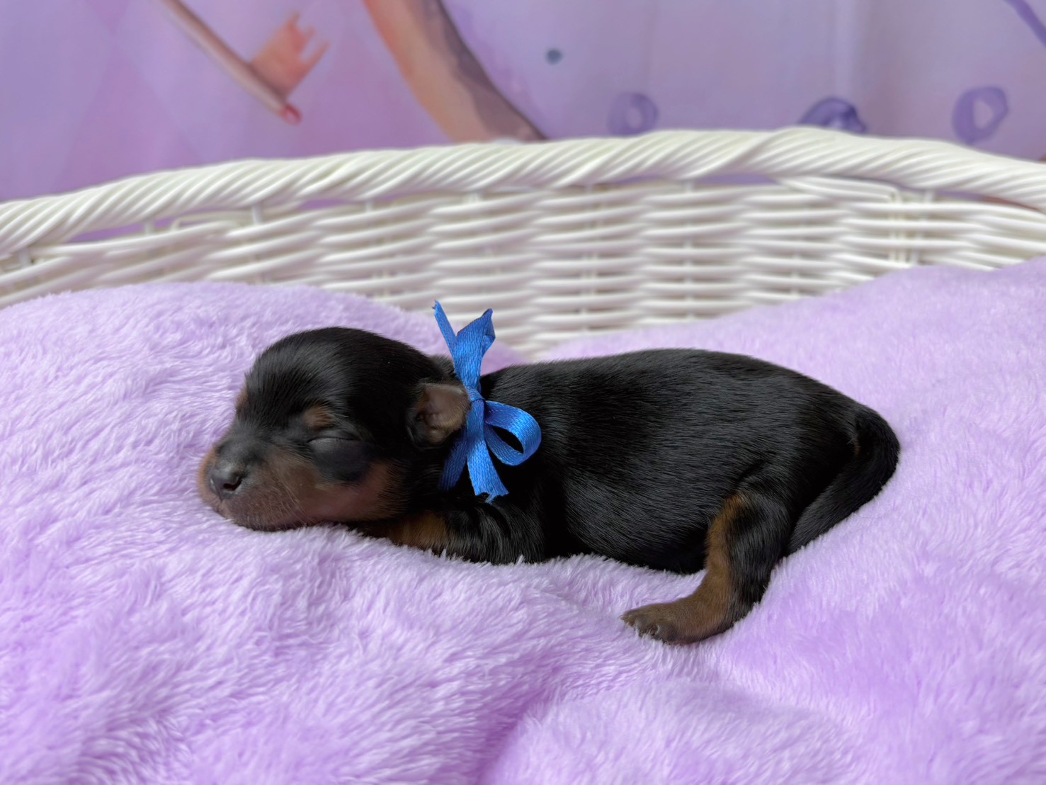 赤ちゃん写真1-2