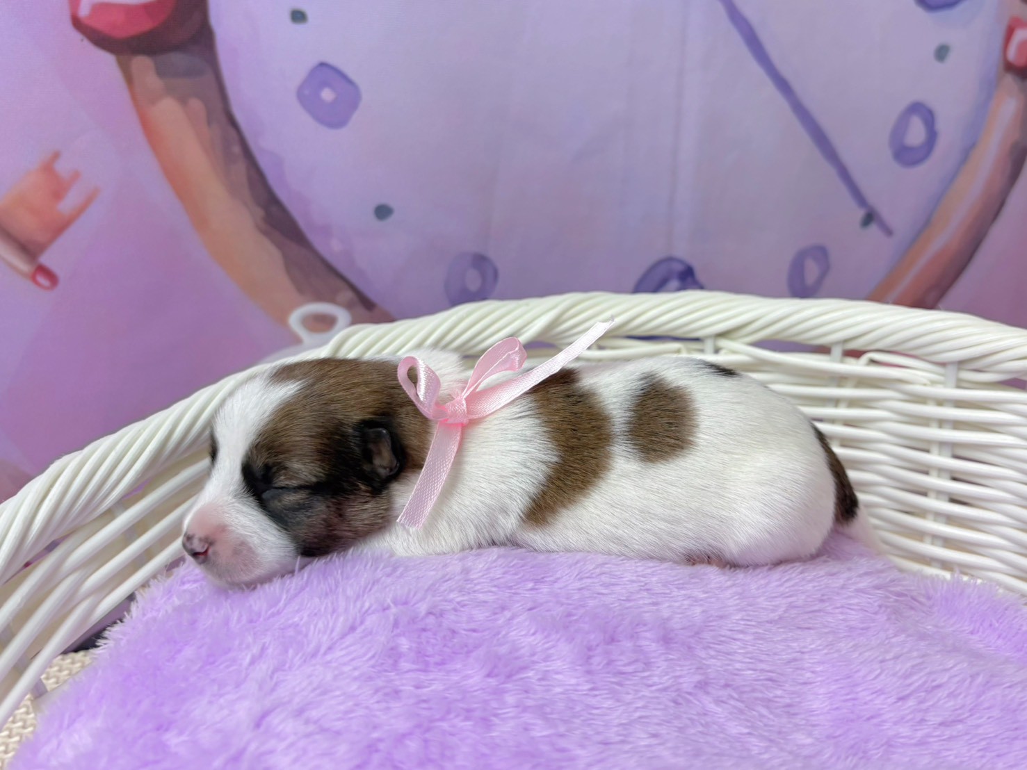 赤ちゃん写真1-2