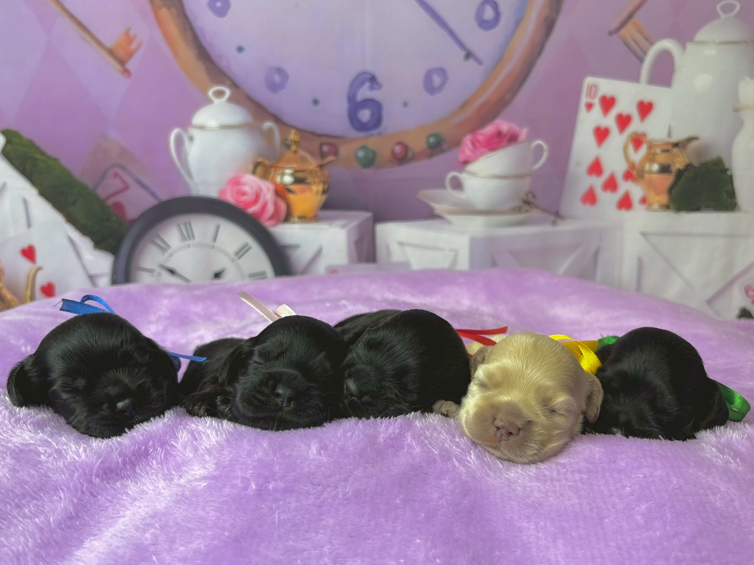 赤ちゃん写真1-3