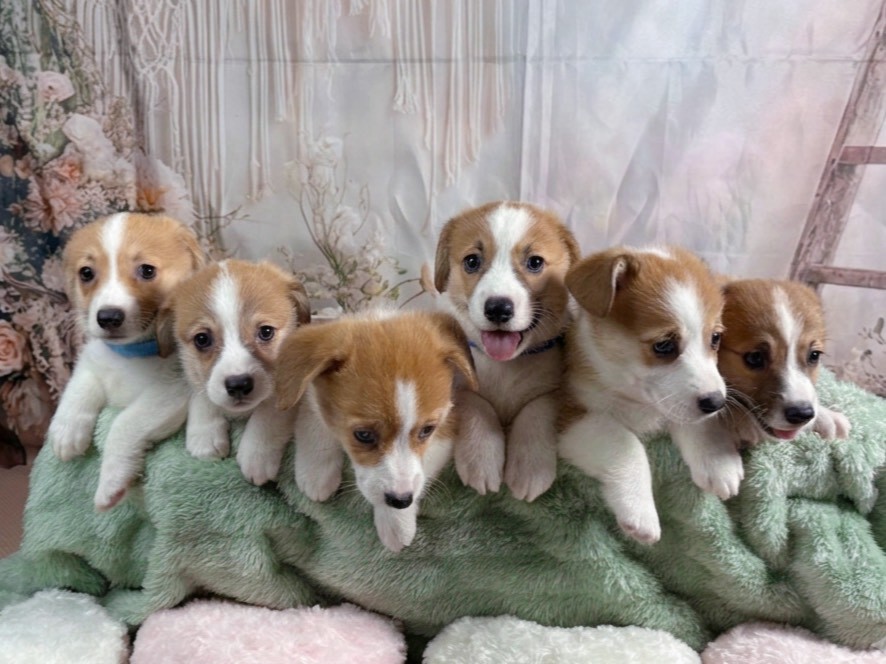 赤ちゃん写真3-3