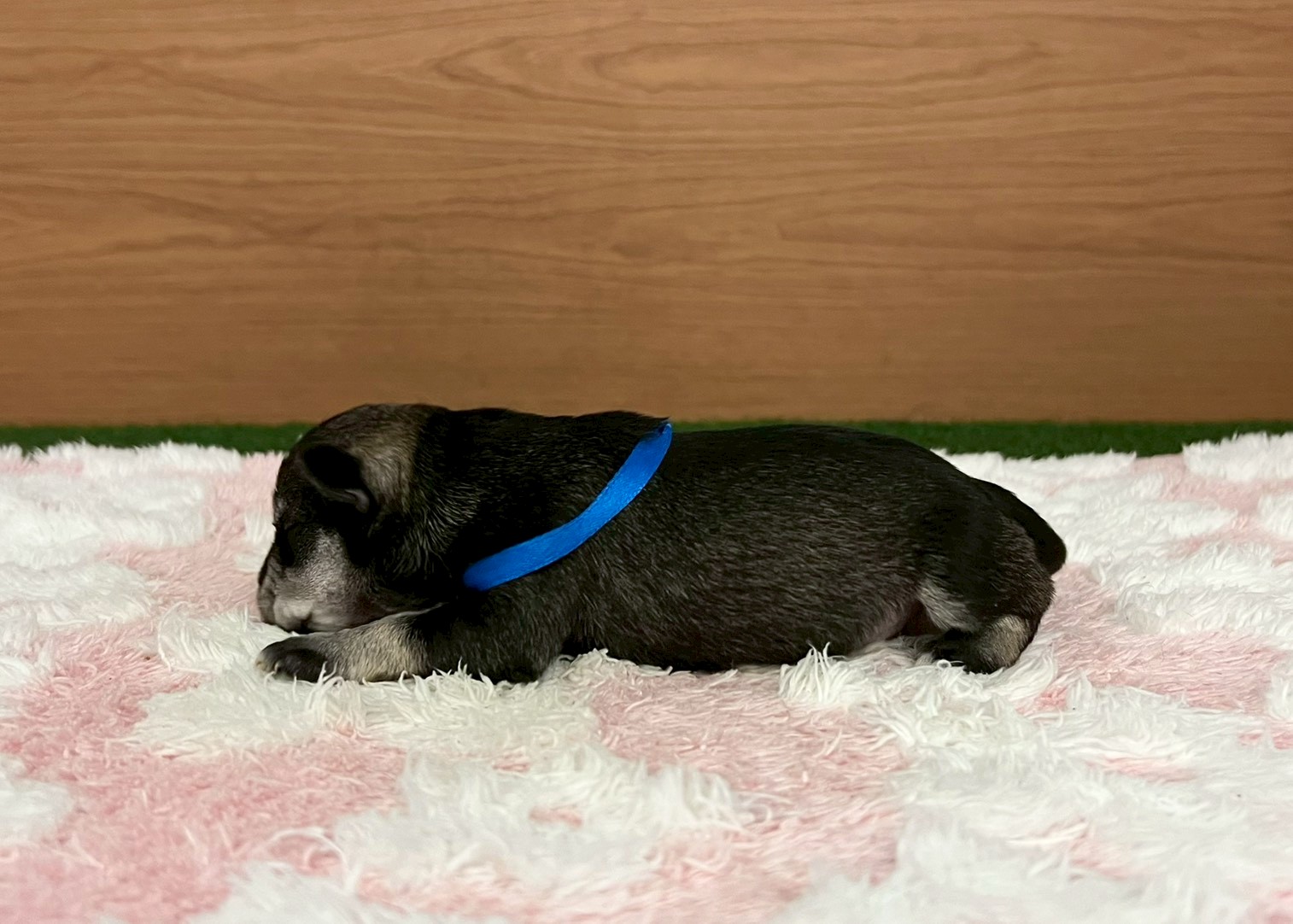 赤ちゃん写真1-2