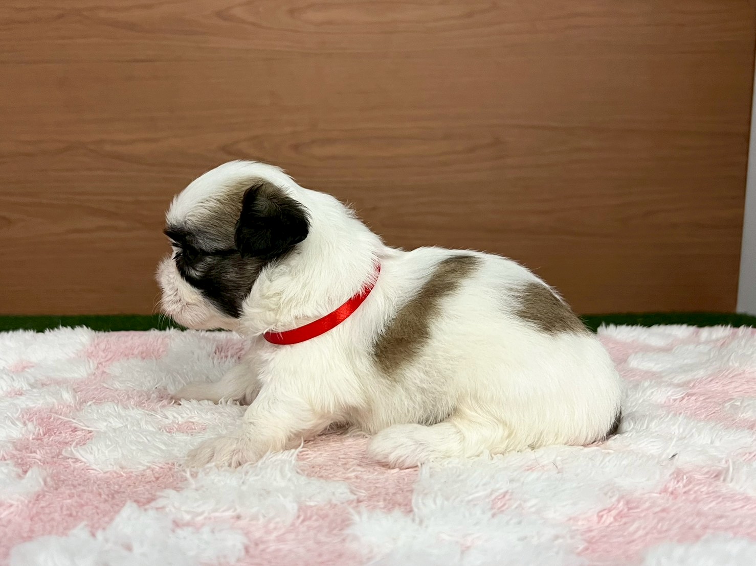 赤ちゃん写真2-2