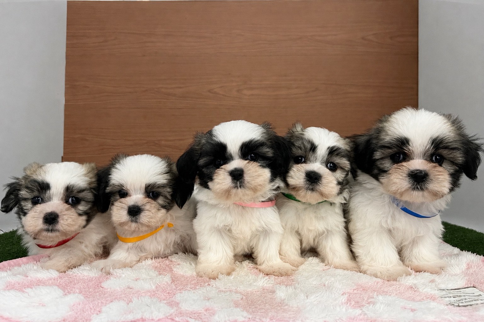 赤ちゃん写真3-3