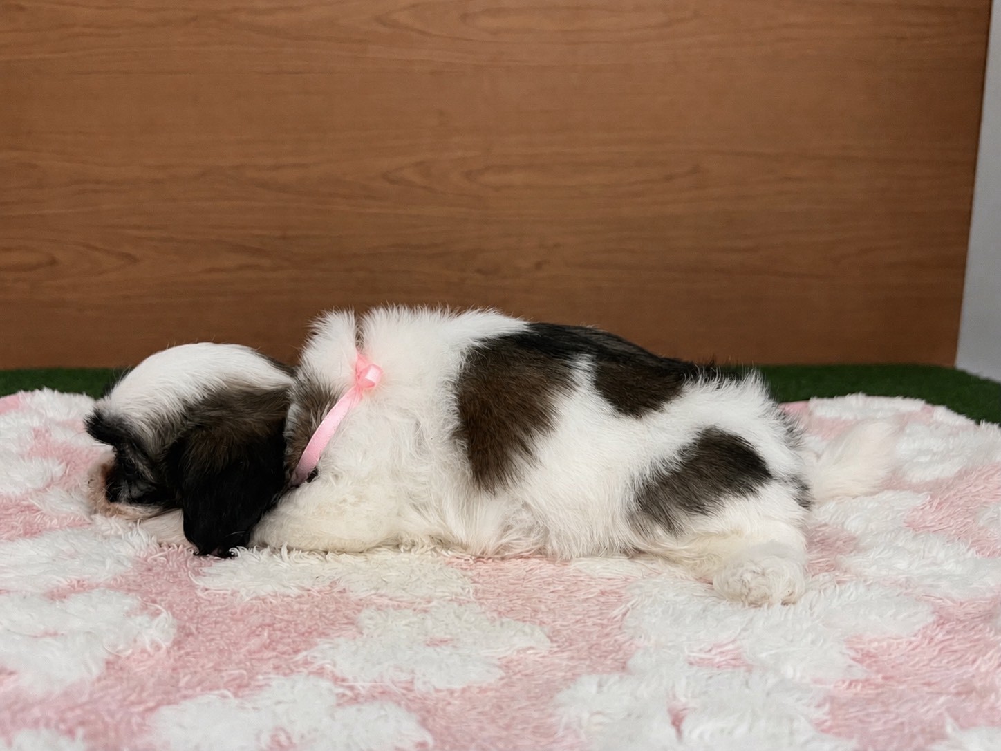 赤ちゃん写真3-2