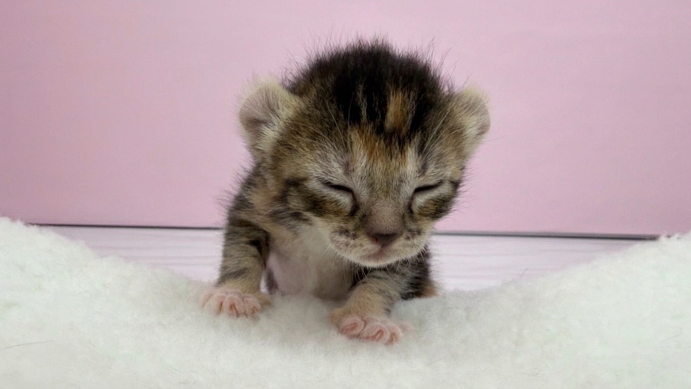 赤ちゃん写真1-1