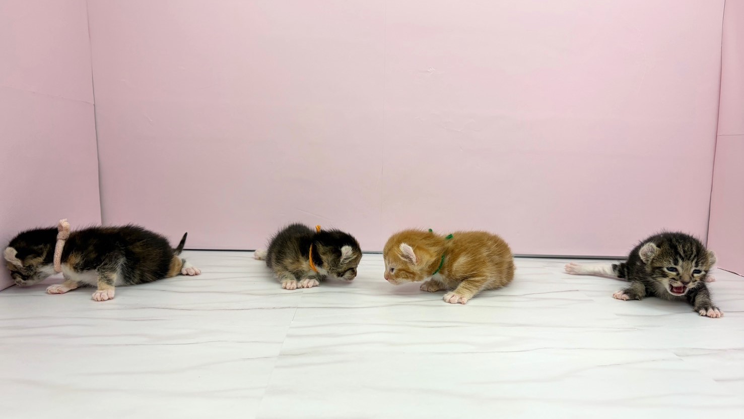 赤ちゃん写真1-3