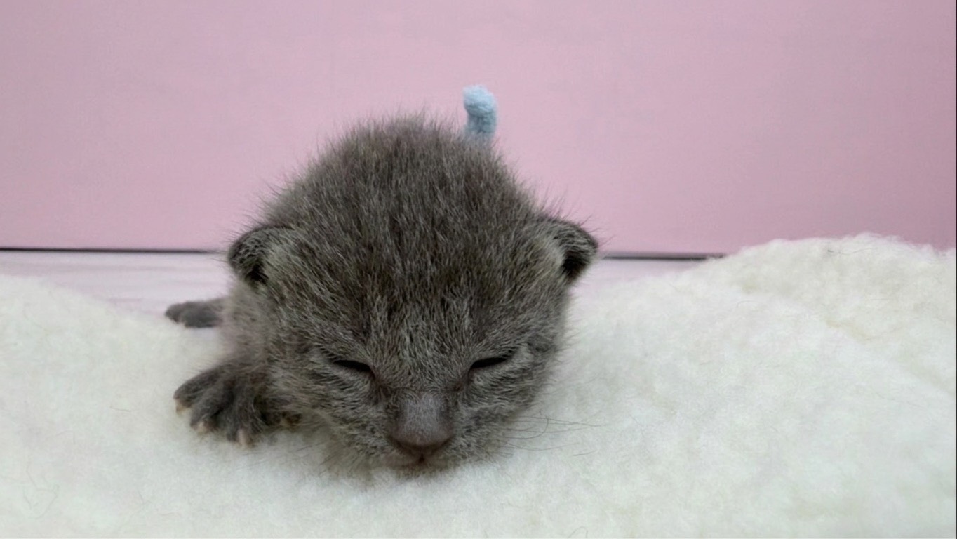 赤ちゃん写真1-1