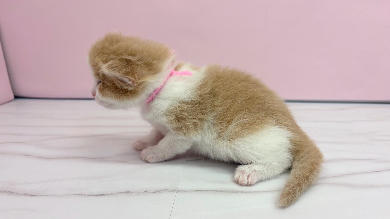 赤ちゃん写真1-2