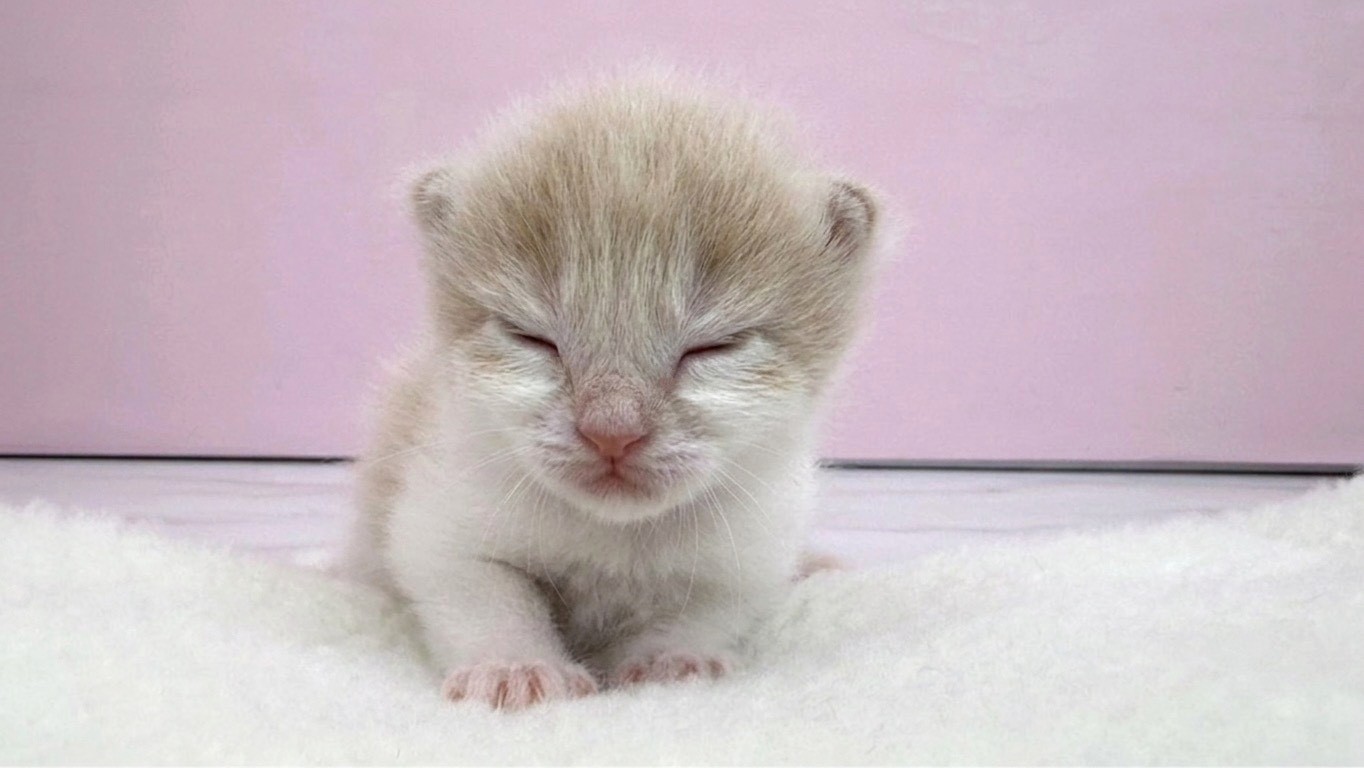 赤ちゃん写真1-1