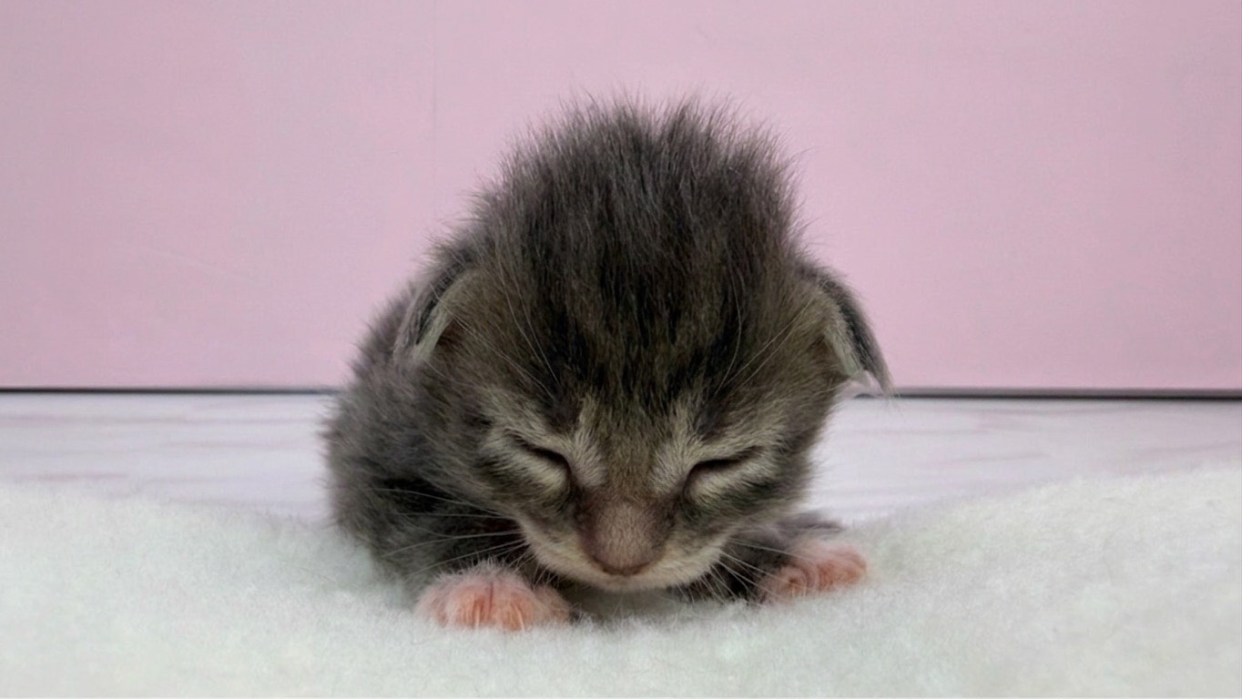 赤ちゃん写真1-1