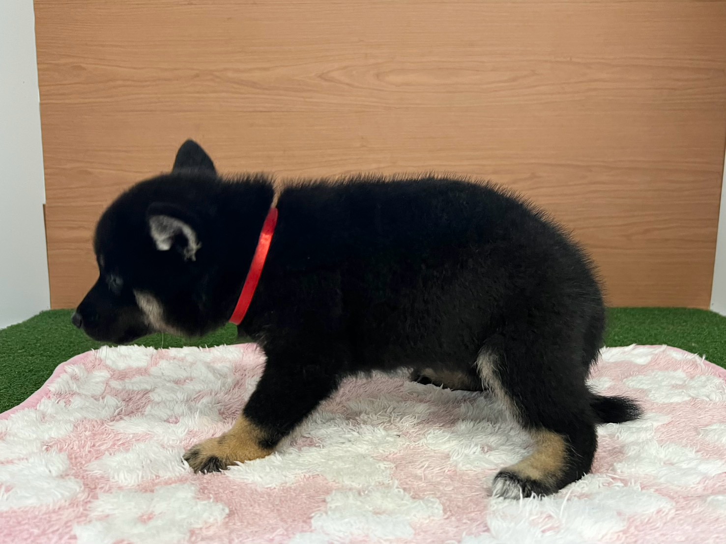赤ちゃん写真3-2