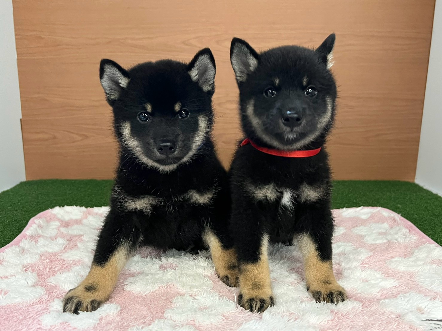 赤ちゃん写真3-3