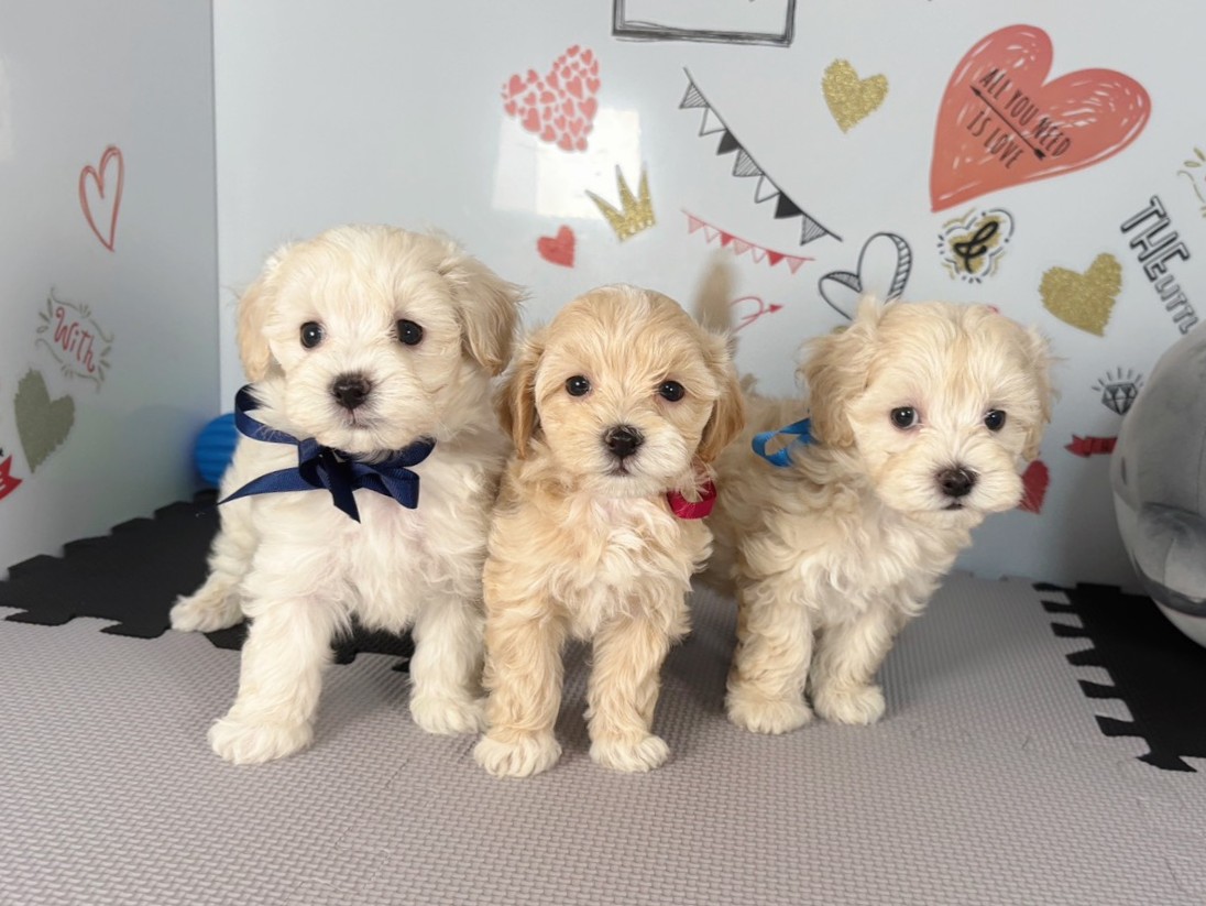 赤ちゃん写真2-3