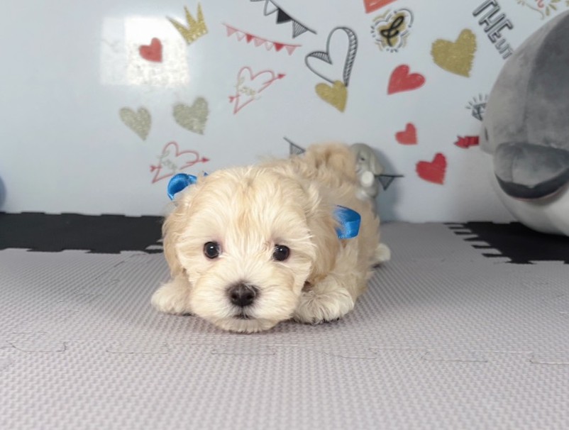 赤ちゃん写真2-1