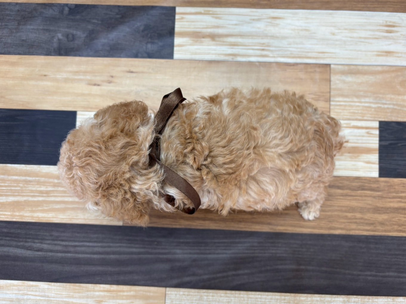 赤ちゃん写真3-3