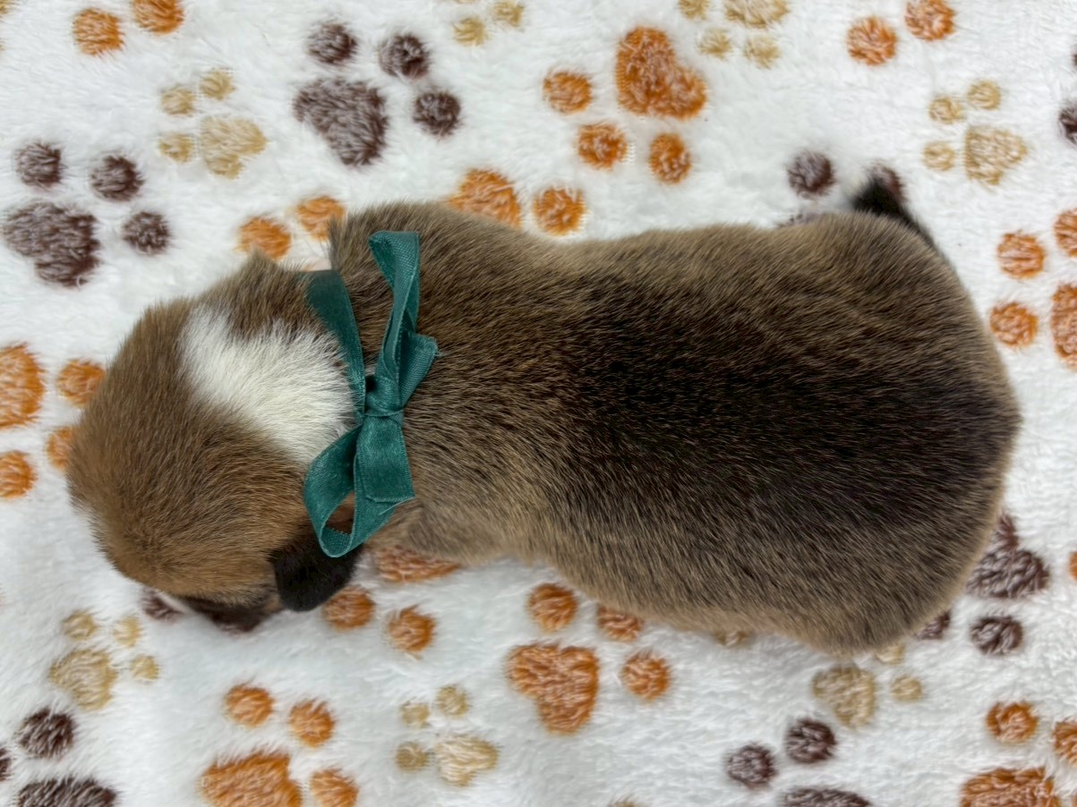 赤ちゃん写真1-3