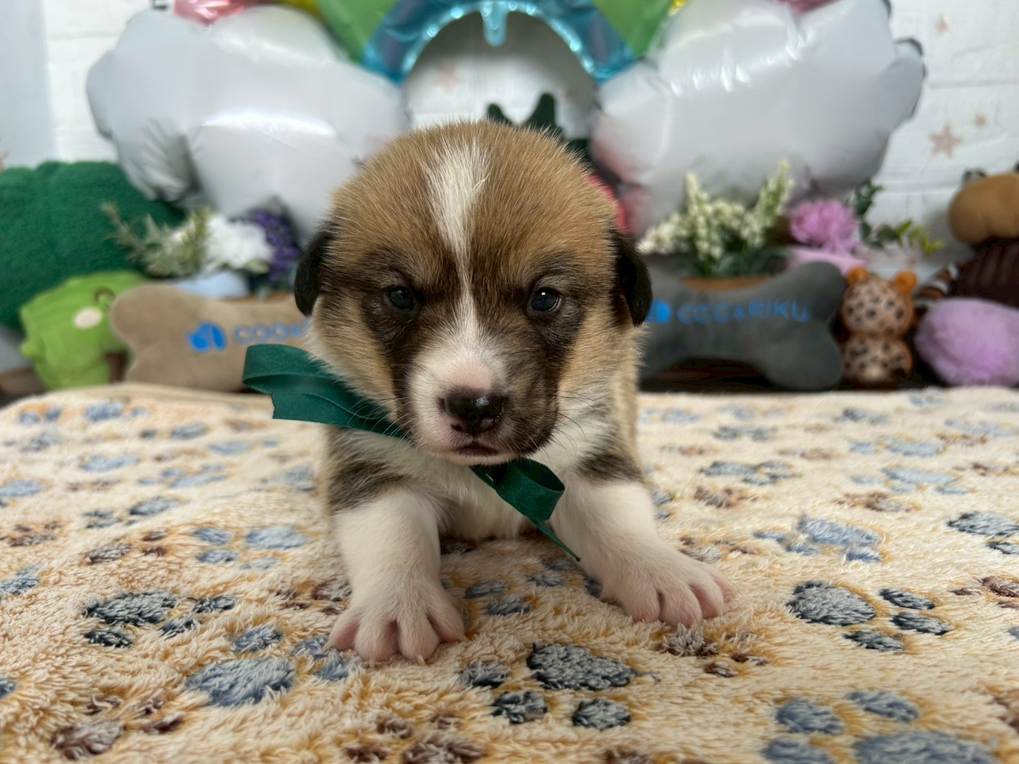 赤ちゃん写真2-1