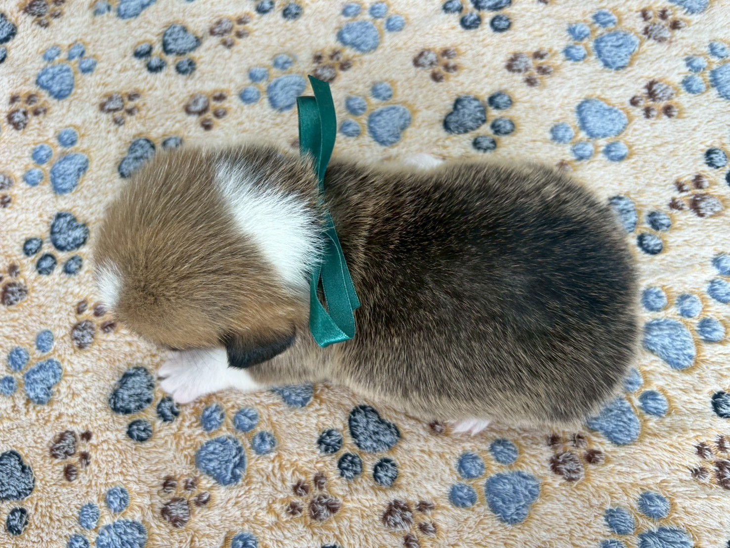 赤ちゃん写真2-3