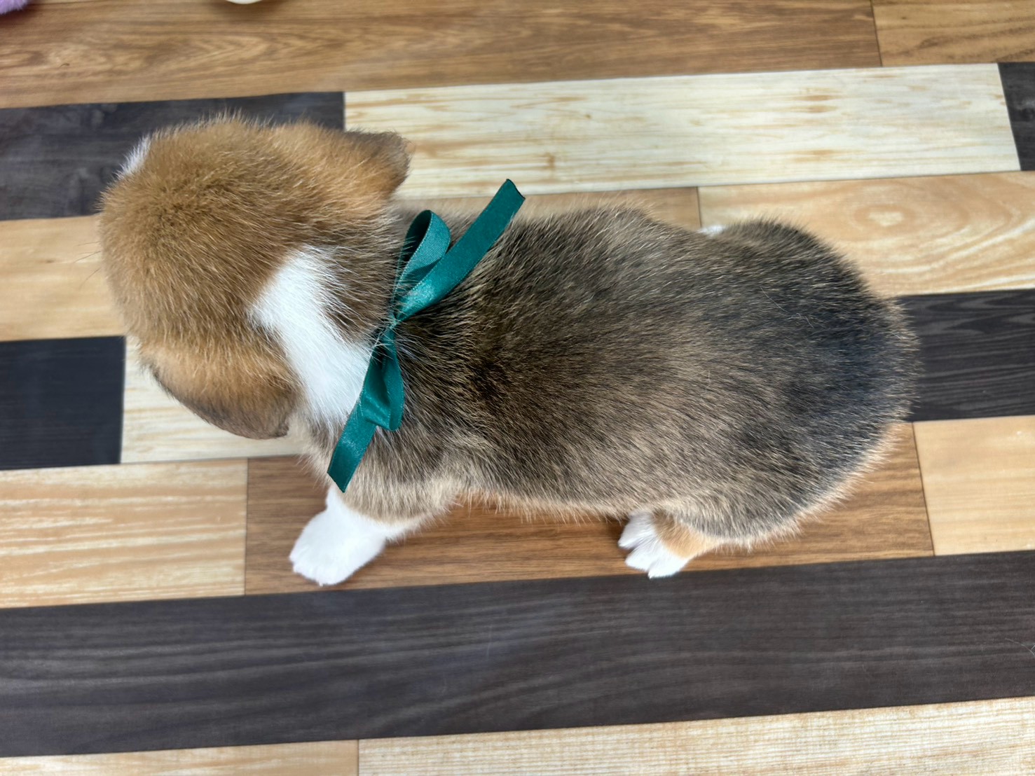 赤ちゃん写真3-3