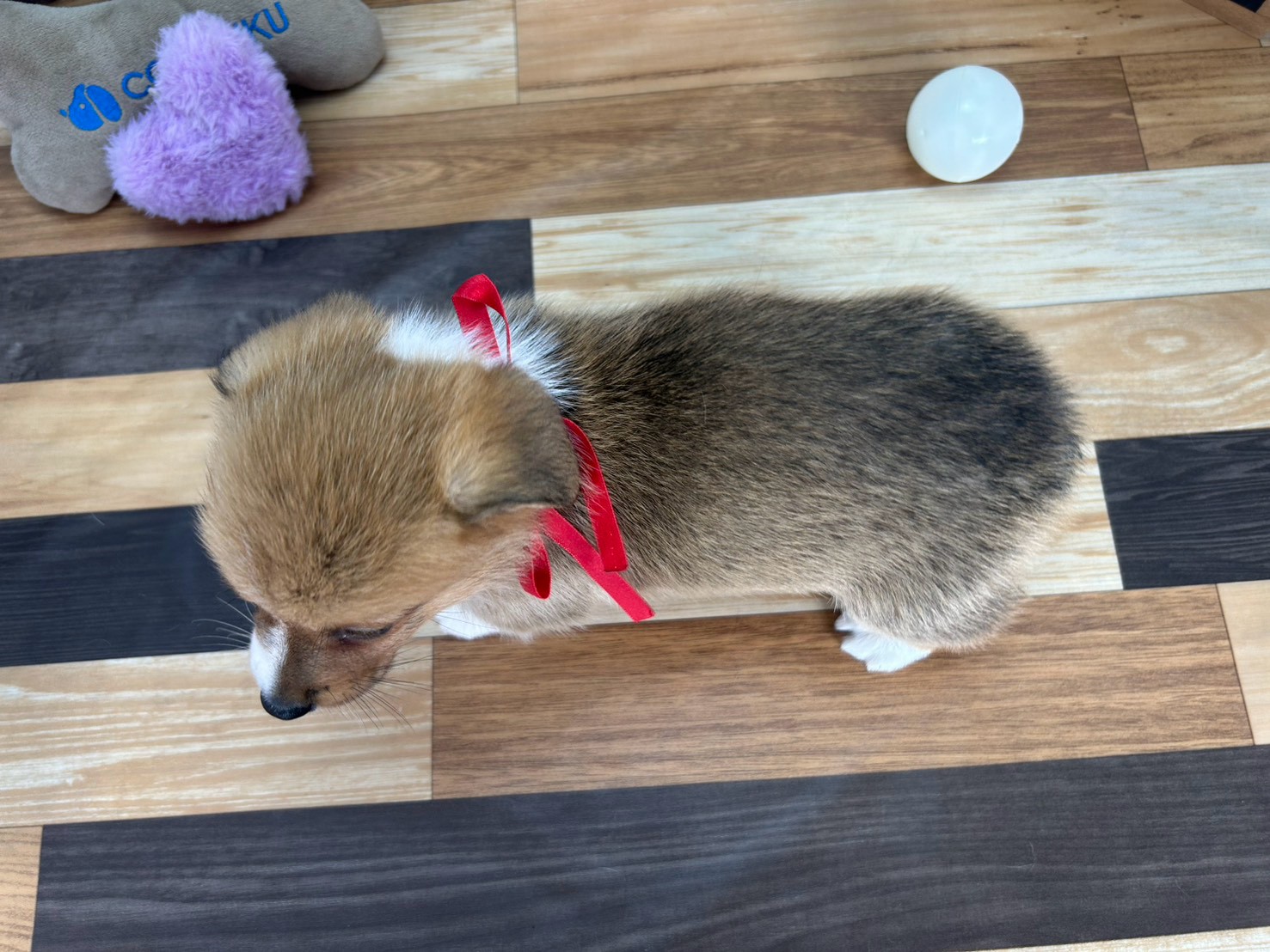 赤ちゃん写真3-3