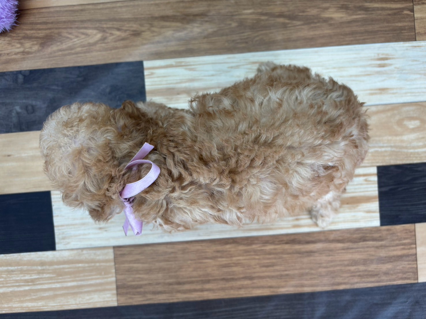 赤ちゃん写真3-3